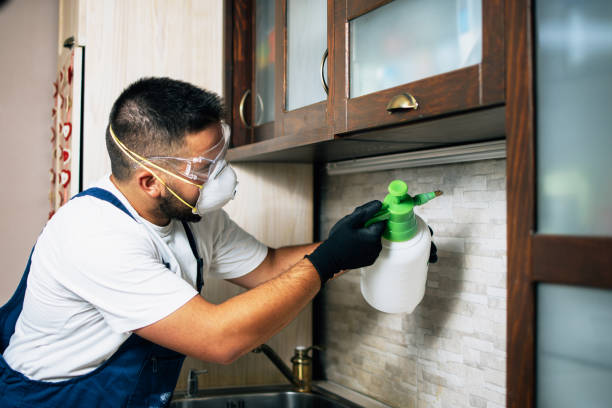 Best Best Pest Control Companies  in Thermal, CA