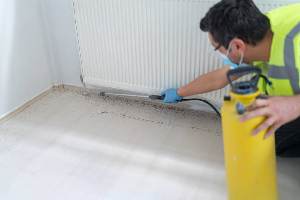 Best Emergency Pest Control  in Thermal, CA