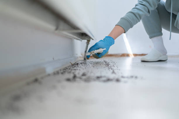 Reliable Thermal, CA Pest Control Solutions