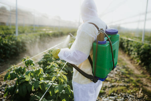 Best Pest Removal Services  in Thermal, CA